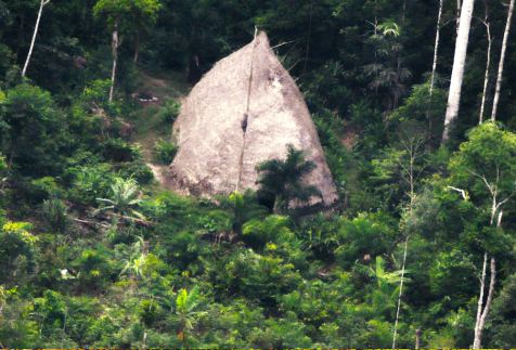 materia-vale-javari.jpg