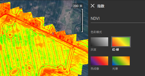 数字地表模型可显示为灰度和地形模式。.png